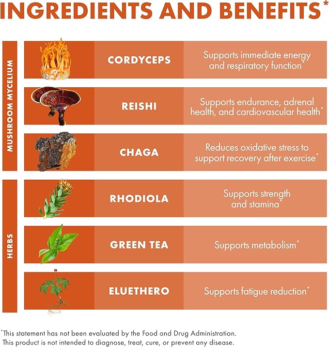 Host Defense MycoBotanicals Energy* Capsules - Energy &amp Respiratory Support Supplement - Herbal Green Tea Capsules - Respiratory Supplement with Cordyceps Reishi &amp Chaga - 60 Capsules (30 Ser