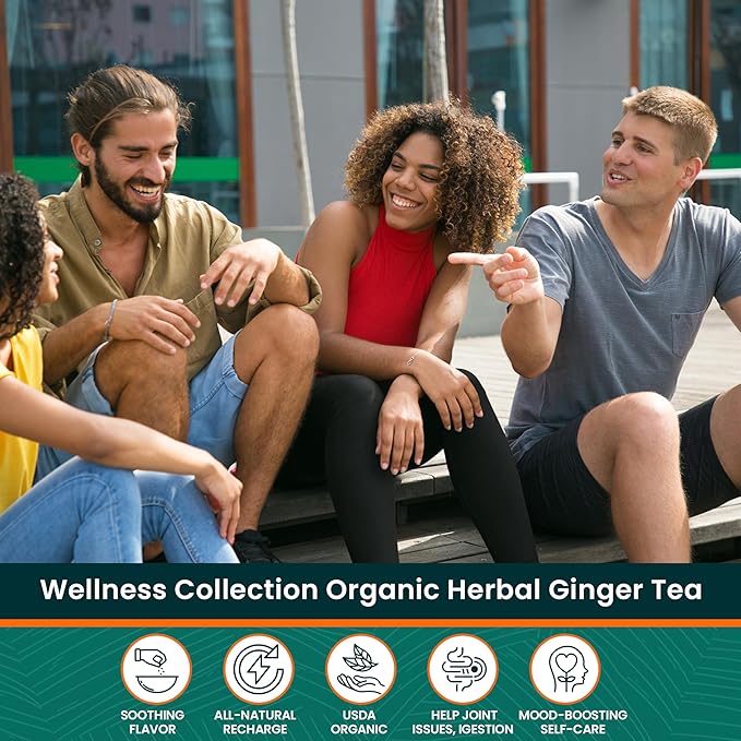 Herbaly Wellness Collection Organic Herbal Ginger Tea 70 g 28 Count Bag (Pack of 1)