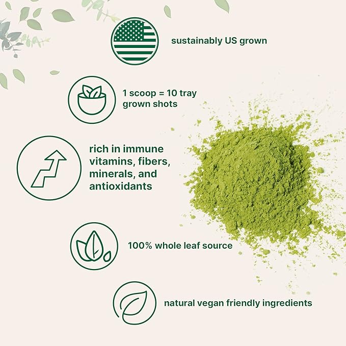 Sustainably US Grown Organic Wheat Grass Powder (100% Whole-Leaf) 16 Ounce  Rich in Immune Vitamins Fibers and Minerals Support Digestion Function Vegan Friendly