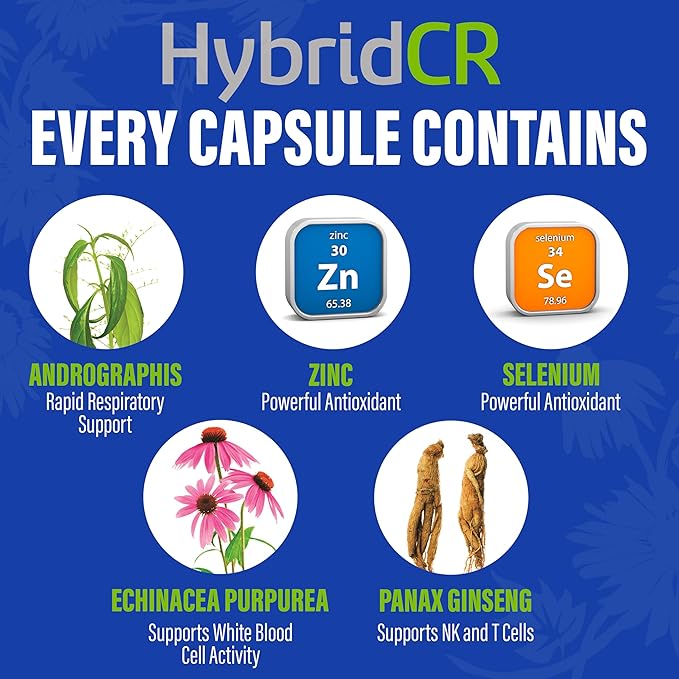 HybridCR Rapid Immune Support Supplement – 4 Day Immunity Supplement - Immune Defense Booster with Echinacea Ginseng Andrographis Zinc Selenium – Travel Size System Support – 24 Caps 2 Dose Packs
