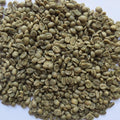 10 Lb Single Origin Unroasted Green Coffee Beans Specialty Grade From Single Nicaraguan Estate Direct Trade (Caturra Varietal)