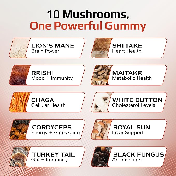 Effective Nutra Mushroom Gummies 2500mg - 10in1 Lion’s Mane Reishi Chaga Cordyceps &amp More - Focus Clarity Memory Immunity Energy - Natural Raspberry Flavor Vegan Made in USA (2-Pack)