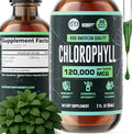 HERBIFY Chlorophyll Drops - Liquid Chlorophyll for Energy Boost &amp Immune System Support - Made in USA - Chlorophyll Liquid Drops for Body Detox Internal Deodorant &amp Enhance Skin - 2 Oz