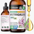 BIO KRAUTER® Astragalus for Immune Support - Vegan Astragalus Root Herbal Supplements 685 mg for Daily Wellness - Liquid Extract 4 Fl.Oz. 56 Days of Supply Alcohol &amp Sugar Free