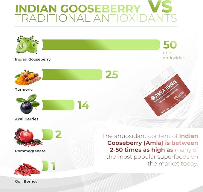 Amla Powder &amp Green Tea Superfood Supplement with Hibiscus 20x Ultra Concentrated Amla Antioxidant Support Made with Oolong Tea and Indian Gooseberries Organic Vegan Hibiscus 90 Servings