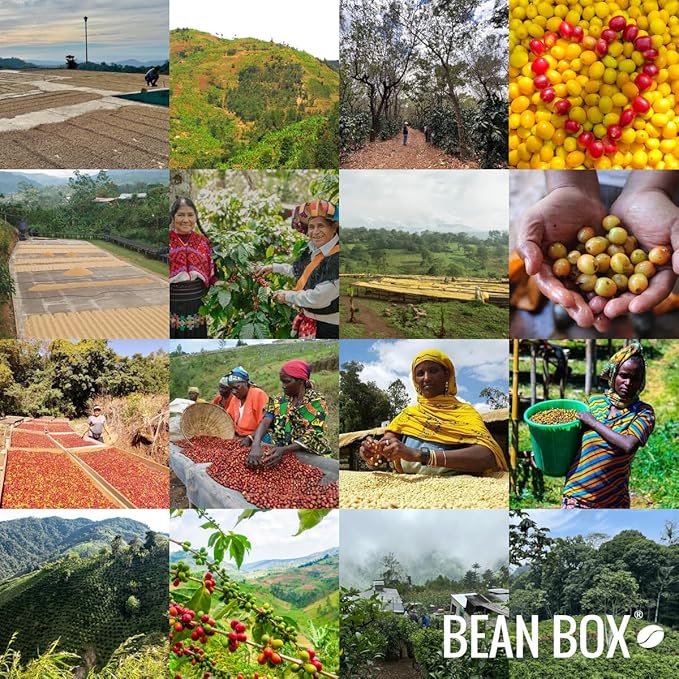 Black Diamond Blend - Roasted by Evans Brothers Coffee - Freshly Ground Coffee - 12 Ounce Bag