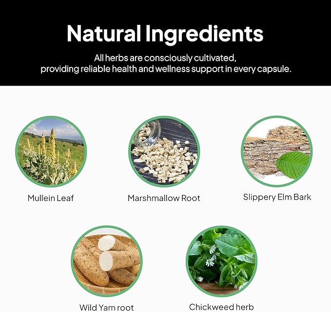 Doctor Morse's GI Daily - Gut Cleanse - Digestive Support - Intestinal Overall Gut Support - Naturopath Formulated - Marshmallow Root Slippery Elm Bark Mullein Leaf - 90 Capsules - 45 Day Supply