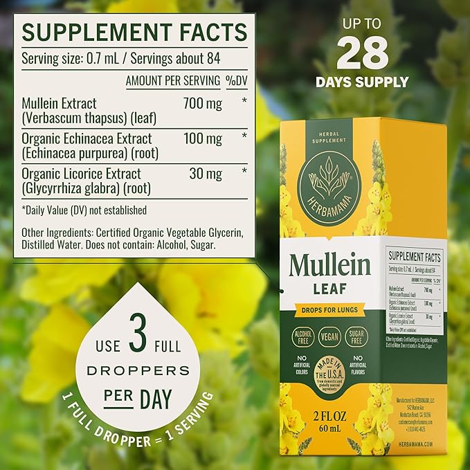 HERBAMAMA Mullein Drops for Lungs - Vegan Lung Cleanse with Mullein Leaf Extract Echinacea Tincture &amp Licorice - Non-GMO Alcohol &amp Sugar-Free Respiratory Support Supplement - 28-Day Supply