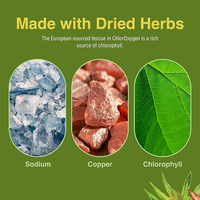 Herbs Etc. ChlorOxygen Chlorophyll Concentrate - Highly-Concentrated Energy Support - Aids Healthy Blood Circulation - Natural Vitality Support - Alcohol-Free - 2 fl oz (About 132 Servings) - 2 Pack