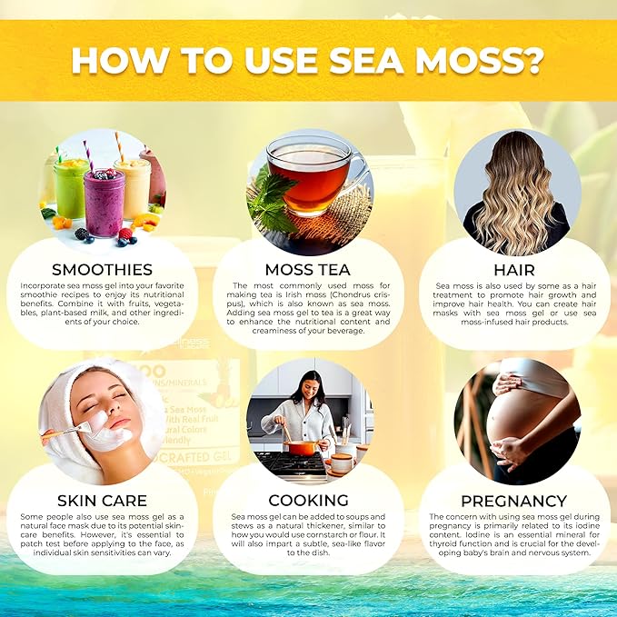 WELLNESS LABSRX Irish Sea Moss Gel Raw - Wildcrafted Superfood Seamoss Gel - Pineapple Flavor Vitamin and Mineral-Rich from Pristine Caribbean Waters Immune and Digestive Health Support - 10 oz.