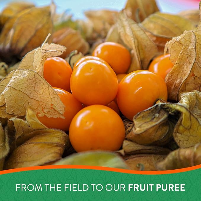 PACIFIC FRUIT - Goldenberry Juice - Physalis juice - Golden Berries Puree - 100% REAL GOLDENBERRY READY TO USE FOR YOUR BEVERAGES! - 100% FRUIT