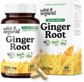 Wild &amp Organic Ginger Root Capsules 1200 mg - Immune &amp Digestive Support - Natural Ginger Supplements - Zingiber Officinale Powder - 30 Days of Supply - Vegan No Fillers Non-GMO - 60 Count