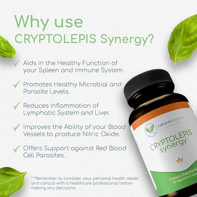 Cryptolepis Synergy Immune Support Vitamins Immune System Booster for Adults Liver Lymphatic &amp Immune Support Supplement Supports Lyme &amp Natural Parasite Defense 120 Capsules 3 Pack