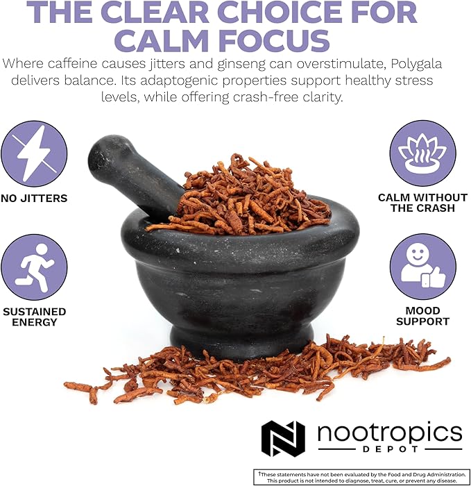 Nootropics Depot Polygala tenuifolia Capsules | 100mg | 90 Count | 20:1 Extract | Yuan Zhi | Promotes Cognitive Function Learning and Memory | Supports Healthy Stress Levels | Adaptogen Supplement