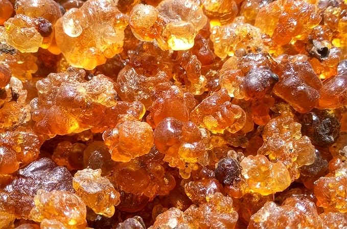 Wild Natural Tao Jiao Peach Resin Gum 桃胶 1 LB