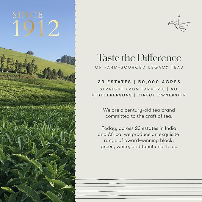 Luxmi Estates Moringa Mint Organic Moringa Mint Green Tea (50 Tea Bags) Caffeine Free Tea Bags For Digestion Detox and Stress Relief With Certified Organic Herbal Tea