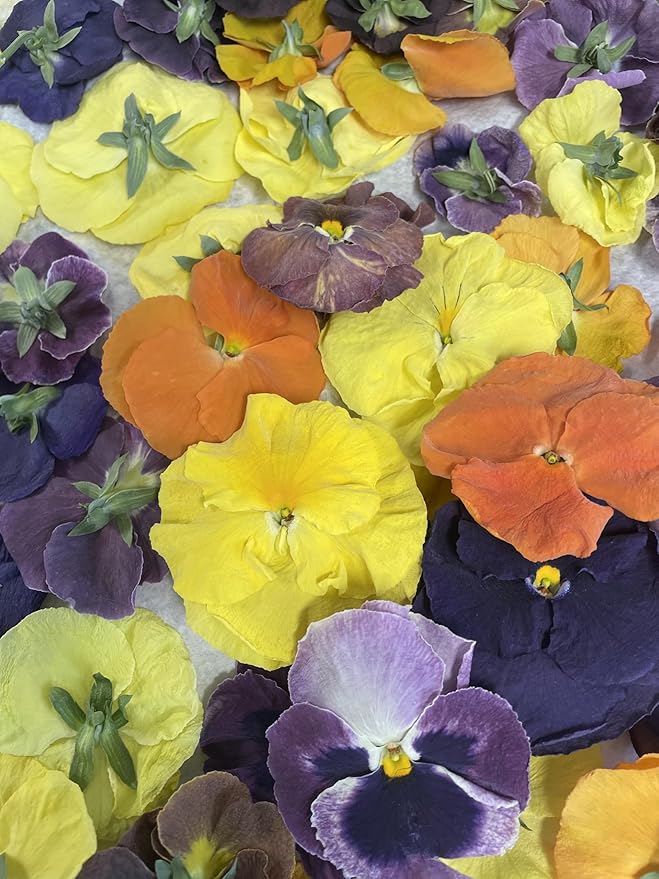 Freshly Preserved Pansy Freeze-Dried Edible Flowers - Dried Edible Flowers for Cakes Decoration Drink Garnish Cocktails Resin Art &amp DIY Crafts - USA-Grown Whole Bloom - Set of 20-0.2 Oz