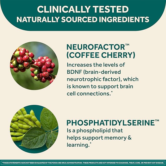 NEURIVA Original Brain Supplement for Memory Focus &amp Concentration + Learning &amp Accuracy with Clinically Tested Nootropics Phosphatidylserine and Neurofactor Caffeine Free 30ct Capsules