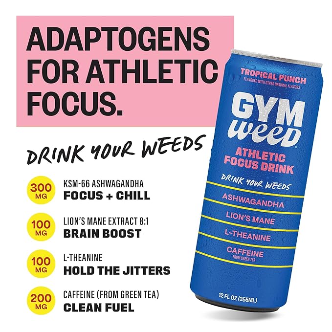 GYM WEED Athletic Focus Drink with KSM-66 Ashwagandha Lion's Mane Mushroom L-Theanine 200mg Green Tea Caffeine with Natural Sweeteners Tropical Punch Flavor 12 Pack