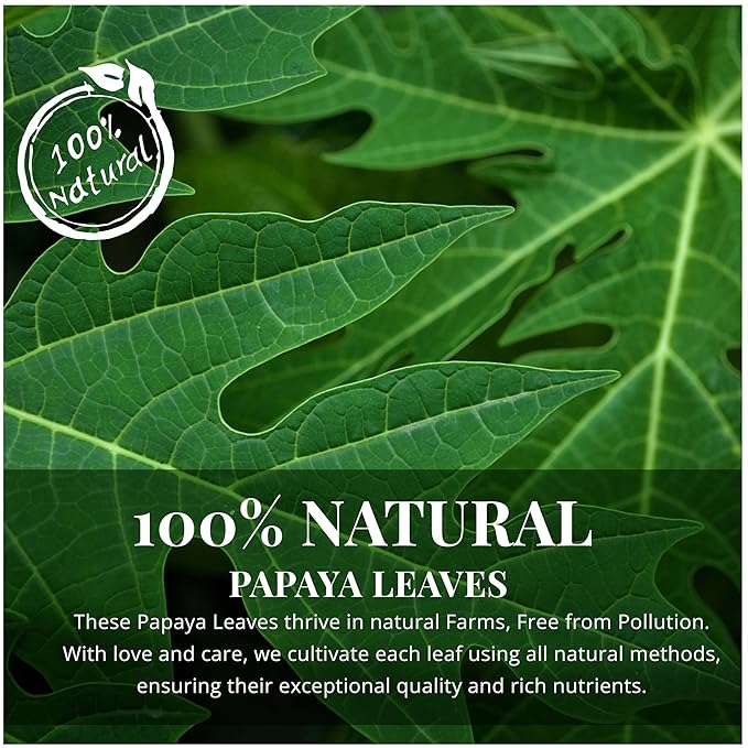 13oz Papaya Leaves Dried Leaf Tea Hojas De Papaya Secas Natural Dried Leaves Tea Caffeine-Free Non GMO. Perfect For Leaf Extract. by Akshit