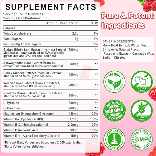 2 Pack Ginkgo Biloba 300mg Gummies for Adults &amp Kids Ginkgo Biloba Supplements for Focus Memory and Brain Health Vegan Sugar-Free Raspberry Flavor 120 Count