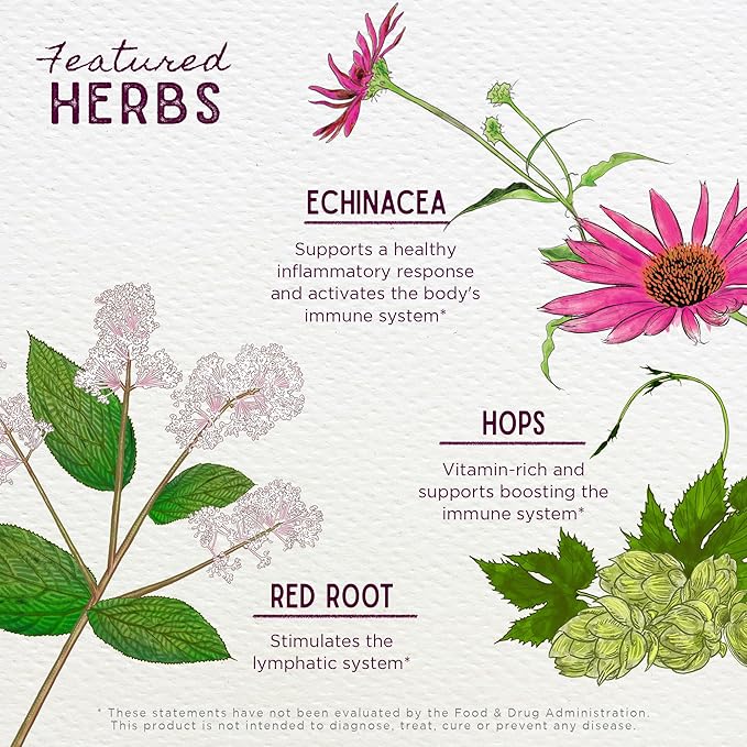 WishGarden Herbs Kick-Ass Biotic Immune Hero - Plant-Based Herbal Biotic Formula with Usnea Lichen Hops Echinacea &amp Goldenseal Supports Healthy Immune Respiratory &amp Lymph System Function