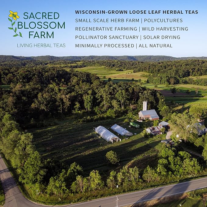 Wild-Harvested Wisconsin Nettle Leaf (Urtica dioica) | Whole Loose Leaf Botanical | 5.5 oz | 77 Servings | Sacred Blossom Farm | Single Source
