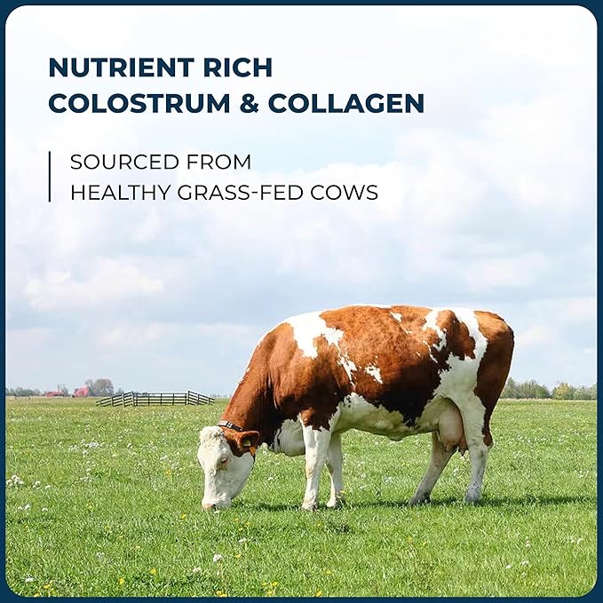 Sandhu's Bovine Colostrum with Collagen Powder | Hair Beauty Skin &amp Nail Supplement | Supports Gut Immune Health | Digestive Enzymes | 45 Servings Large Pack | Nutrition for Women