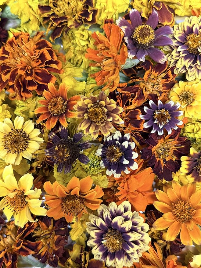 Freeze-Dried Marigold Flowers 0.2 oz | About 20 Edible Flowers | Dried Marigolds for Cake Decoration Cupcakes Desserts Cocktails Garnish Baking Culinary Use Parties and Special Occasions