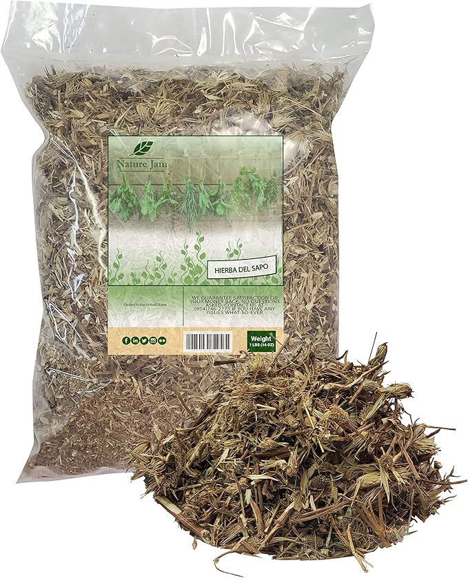 Naturejam Hierba Del Sapo - 1 Pound 16 OZ Mexican Thistle aka Frog Grass