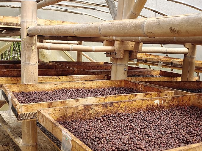 Medium Dark Coffee Roast Ground Coffee 100% Arabica Colombian Coffee Fresh Coffee Saxonville Mills Cafe (2 LB)
