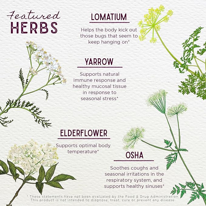 WishGarden Herbs Serious V-Fighter - Plant-Based Herbal Rapid Immune Support &amp Respiratory Health with OSHA &amp Goldenseal Soothes Aches &amp Irritated Lungs Supports Optimum Body Temperature