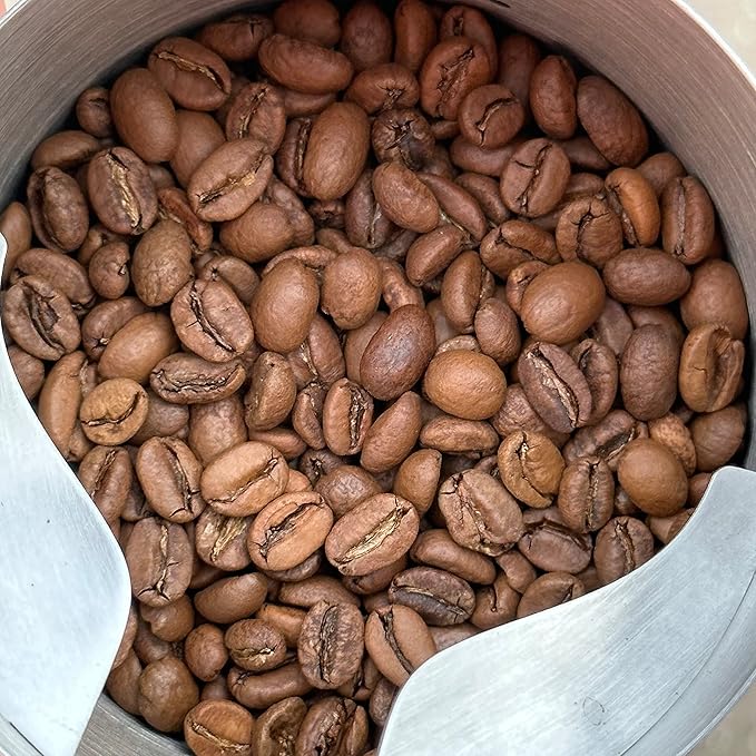 512 COFFEE | Light Roast Coffee Whole Bean - QGS 87.75 | Specialty Fresh Roasted Single Origin Ethiopian Sidamo Coffee | Natural Flavored Notes of Blueberry Chocolate Juicy