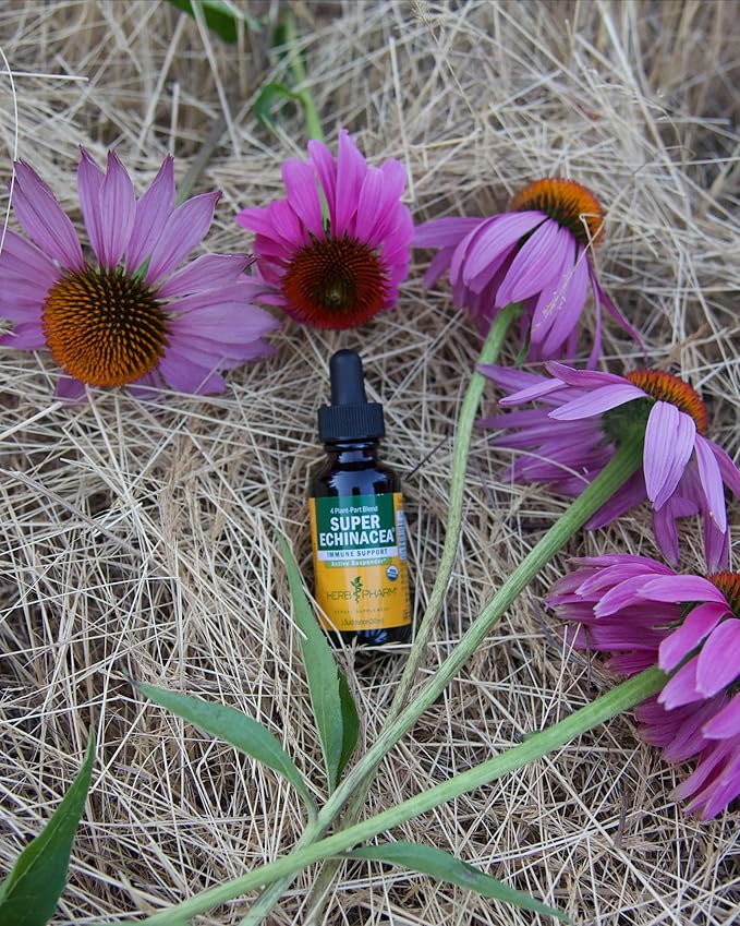 Herb Pharm Super Echinacea® Liquid Extract: USDA Organic Immune Support for Year-Round | Fast-Absorbing Echinacea Tincture 4 Plant-Part Blend: Root Leaf Flower &amp Seed | Up to ~6 Week Supply 2