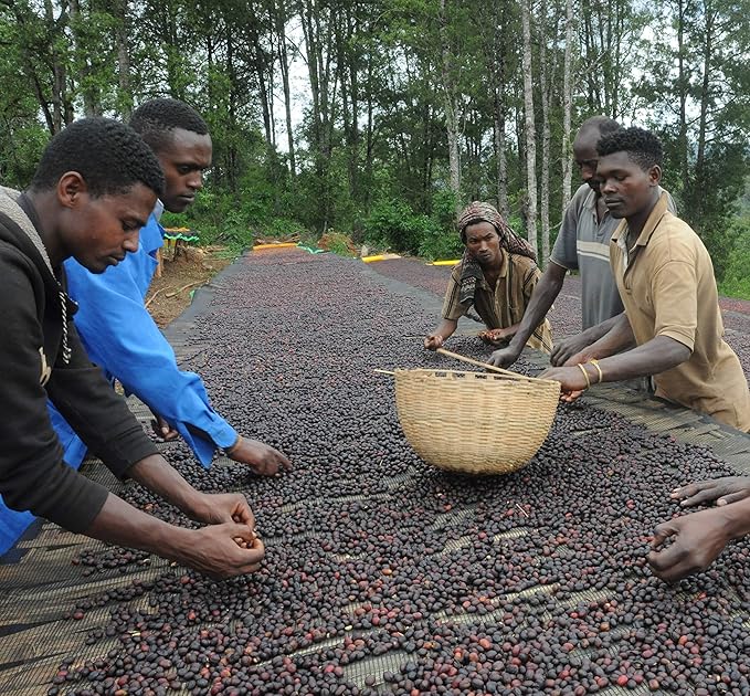 Ethiopian Yirgacheffe Washed Green Coffee Beans – Unroasted Heirloom Arabica | Bright Citrus &amp Floral Notes | High-Altitude Specialty Grade for Home Roasters | Clean Cup Clarity | 2lb/32 Ounces