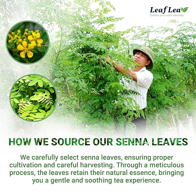 LeafLea 80 Senna Leaf Tea Bags – Natural Herbal Laxative Tea Supports Gentle Constipation Relief &amp Healthy Digestion Caffeine-Free Sugar-Free No Gluten Non-GMO Vegan Individually Wrapped