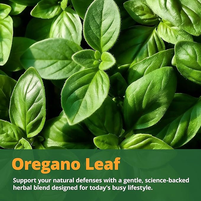 Oil of Oregano with Black Seed Oil &amp Vitamin D3 – Enteric-Coated Softgels for Gentle Delayed-Release Immune &amp Digestive Support – Mild Taste Easy to Swallow – 120 Softgels 60-Day Supply