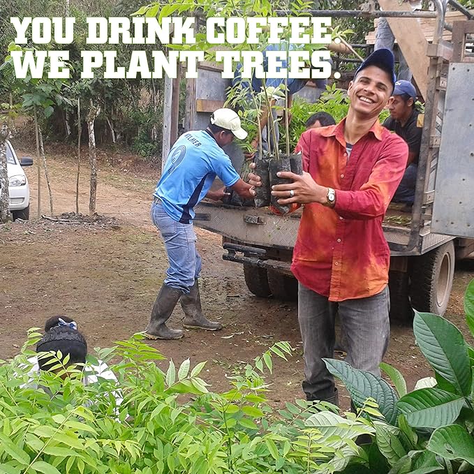 Tiny Footprint Coffee Organic Signature Blend Light Roast - Ground Coffee  USDA Organic &amp Carbon Negative - You Drink Coffee We Plant Trees 2 Pack