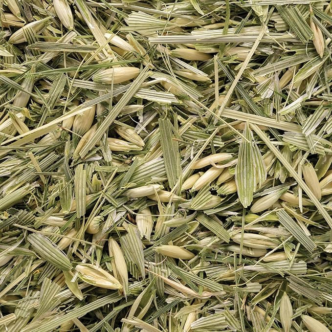 Oatstraw Organically Grown in Wisconsin | 7.0 oz | 99 Servings | Sacred Blossom Farm | Herbal Tea &amp Medicinal Herbs | Loose Leaf | Regenerative Farming | Single Source | Avena sativa