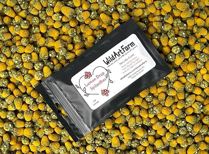Buzz Button Edible Flowers aka Spilanthes aka Toothache Plant - Naturally Cured (1/4 Ounce)