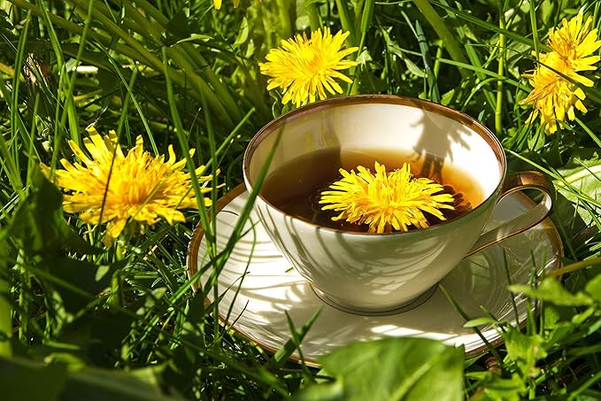 Health Embassy Dandelion Leaf Tea | Taraxacum Officinale L | Herbal Tea (100g)