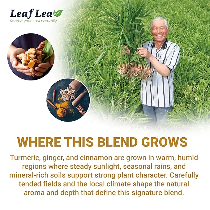 LeafLea Turmeric Ginger Cinnamon Tea 120 Individually Wrapped Tea Bags 100% Natural Herbal Blend with Pure Ginger and Turmeric Supports Digestion &amp Immune Health Caffeine-Free No Sugar