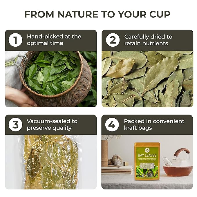 Bay Leaves Tea - 550 Dried Whole Leaves 4.06 oz Hojas de Laurel 100% Natural Sun Dried Caffeine-Free Herbal Tea For Brewing or Cooking Immune &amp Wellness Support