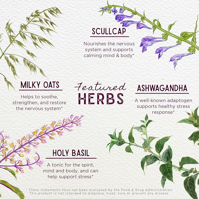 WishGarden Herbs Deep Stress with Ashwagandha - Plant-Based Liquid Herbal Adrenal Support Supplement with Ashwagandha Root and Powerhouse Adaptogens for Stress Relief Fast-Acting Stress Tincture 2oz