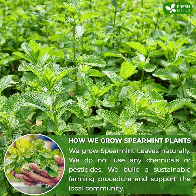 Spearmint Tea Bags 100% Natural &amp Pure Spearmint Leaves. Loose Leaf Spearmint Herbal Tea. Spearmint Leaf Tea. No Sugar No Caffeine No Gluten Vegan.
