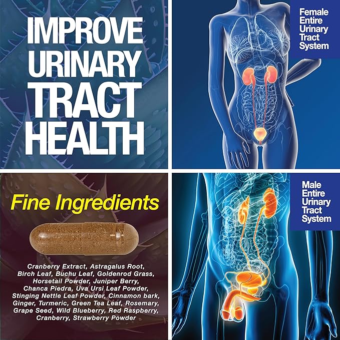 Kidney Support Cleanse Detox &amp Repair -120 Capsules - Cranberry &amp Astragalus Root Pills for Women and Men | High Strength Stone Remover Supporting Urinary Tract &amp Bladder Health