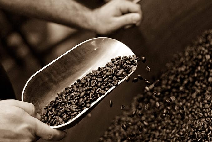 Caffe D’arte Toscana Ground Coffee – Light Roast Sweet and Soft Flavor Roasted in Seattle Crafted for Drip Coffee Makers 1 lb