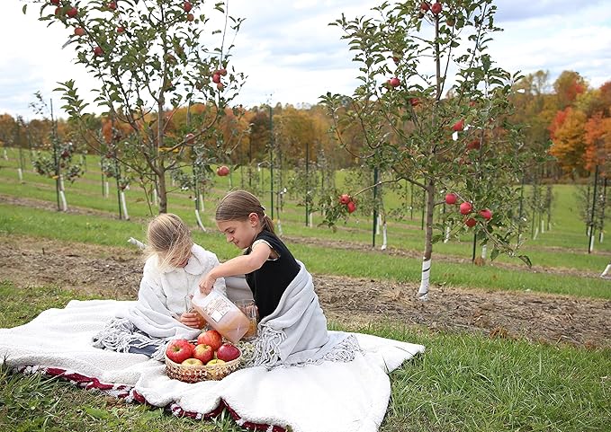 Kauffman Orchards Fresh-Pressed Award-Winning Sweet Apple Cider Frozen For Shipping 0.9 Gallon (Pack of 2)
