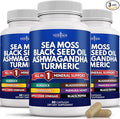 NEW AGE Silica Sea Moss Black Seed Oil Ashwagandha Turmeric Bladderwrack Burdock - with Manuka Honey Dandelion ACV Black Pepper Gluten Free