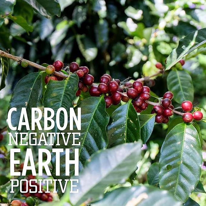 Tiny Footprint Coffee Organic Signature Blend Light Roast - Ground Coffee  USDA Organic &amp Carbon Negative - You Drink Coffee We Plant Trees 2 Pack